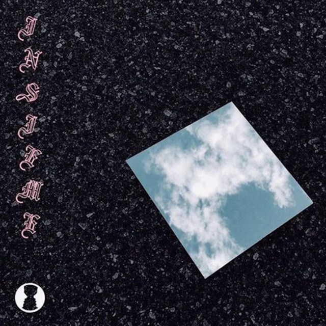Insieme cover art