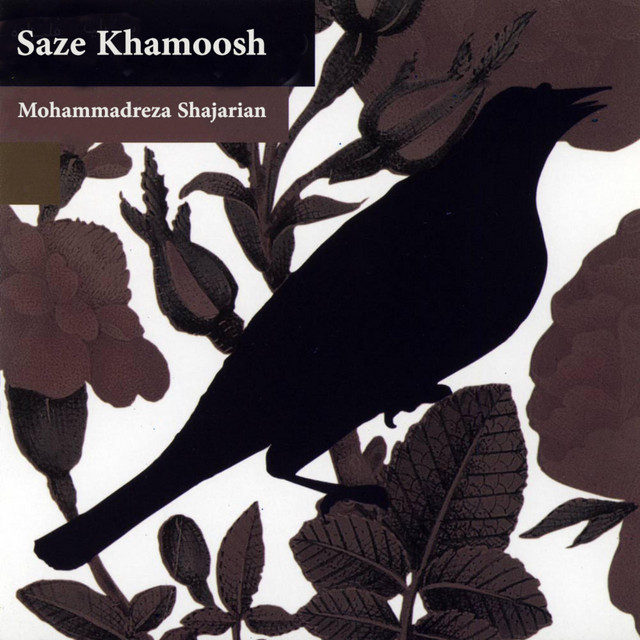 Saze Khamoosh cover art