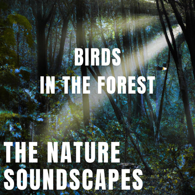 Birds in the Forest cover art