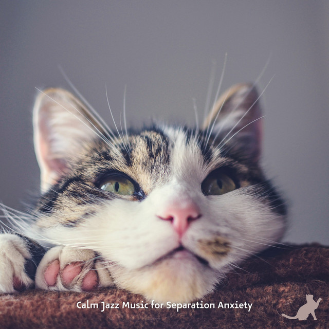 Calm Jazz Music for Separation Anxiety - Album by Jazz Music Therapy ...