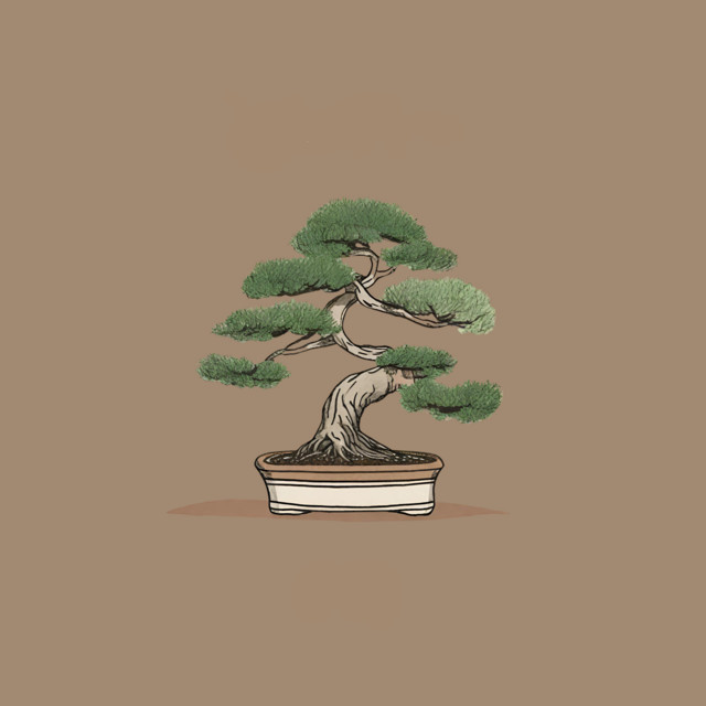 bonsai tree cover art