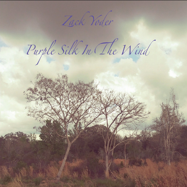 Summerdress - song and lyrics by Zack Yoder | Spotify
