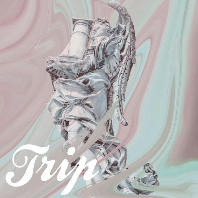 Trip cover art