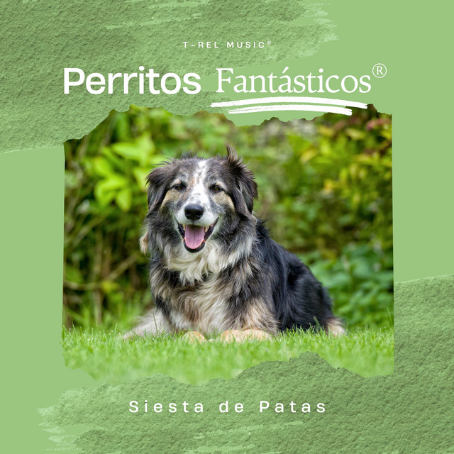 Siesta de Patas