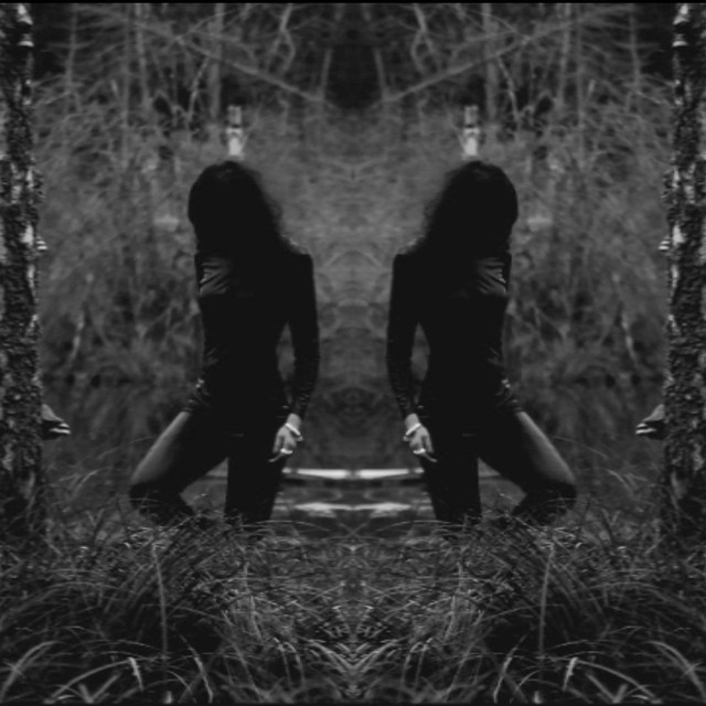 Shoot cover art