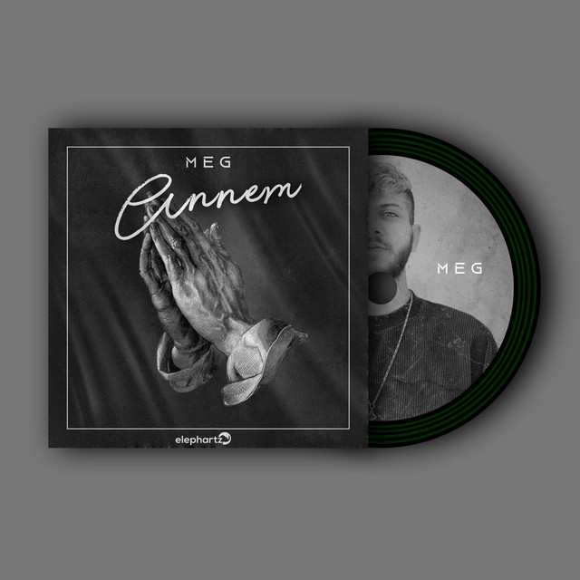 ANNEM cover art