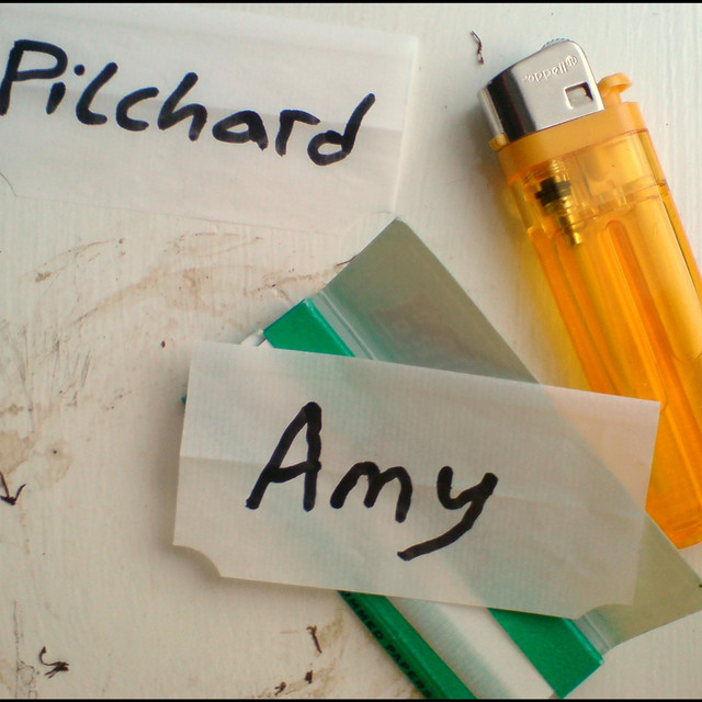 Amy cover