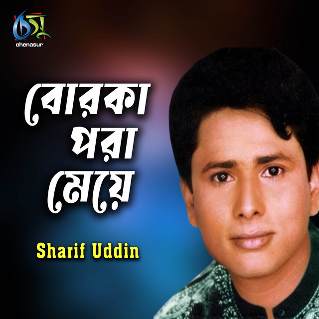 Borka Pora Meye cover art