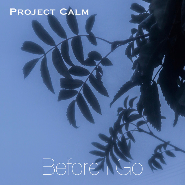 Before I Go - Single by Project Calm | Spotify