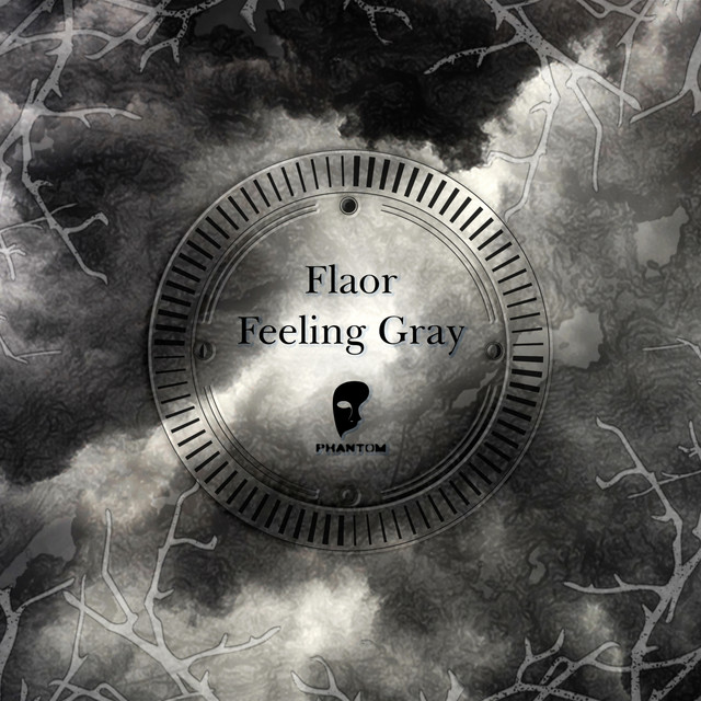 Обкладинка: Feeling Gray — Flaor