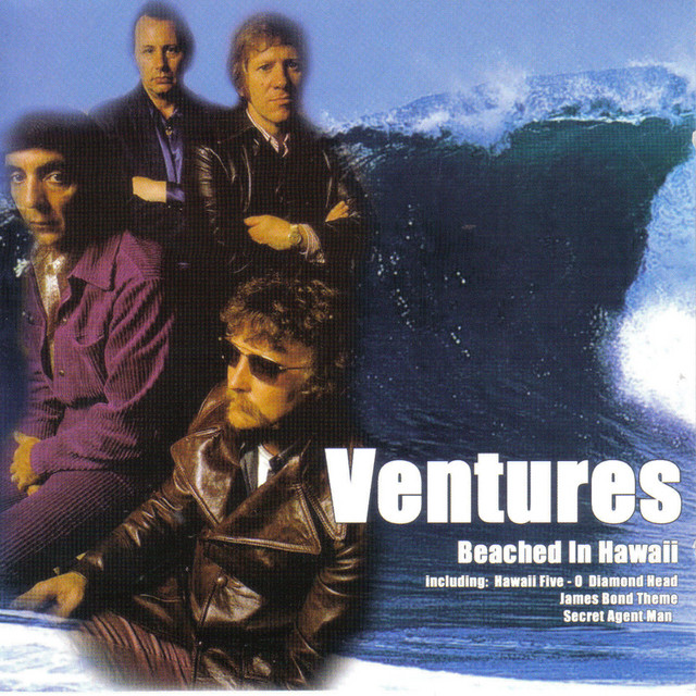 Beached in Hawaii cover art