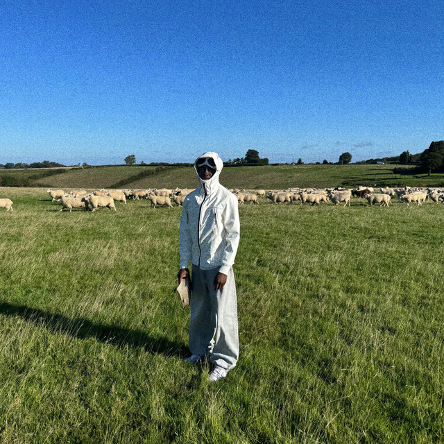 undefined album image