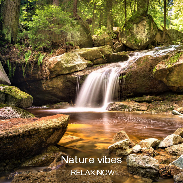 Nature Vibes cover art