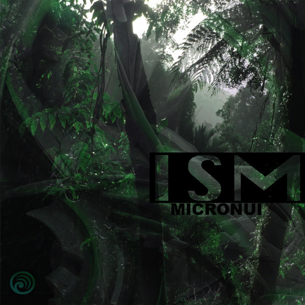 Micronui cover art