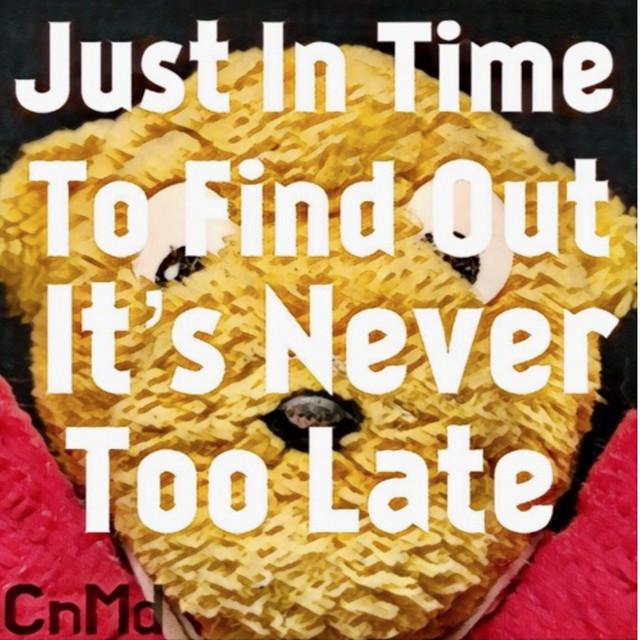 Just in Time to Find Out it's Never Too Late cover