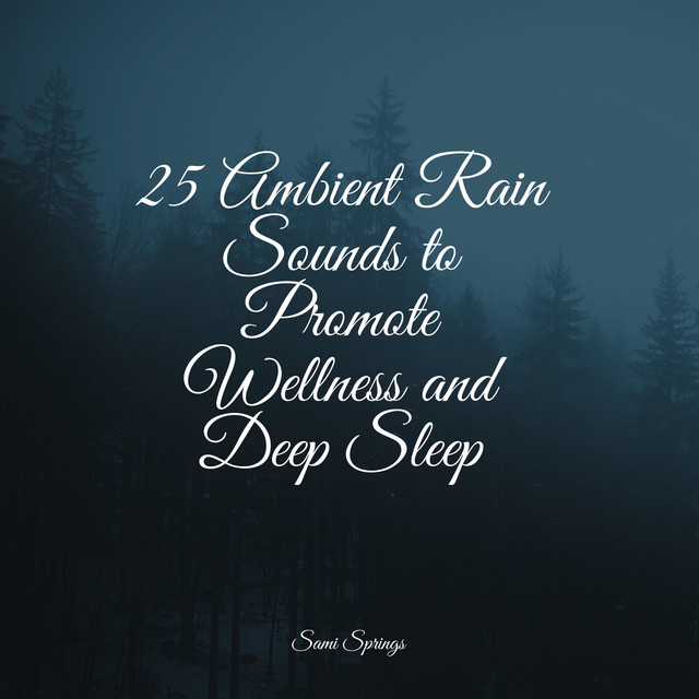 25 Ambient Rain Sounds to Promote Wellness and Deep Sleep - Album by ...