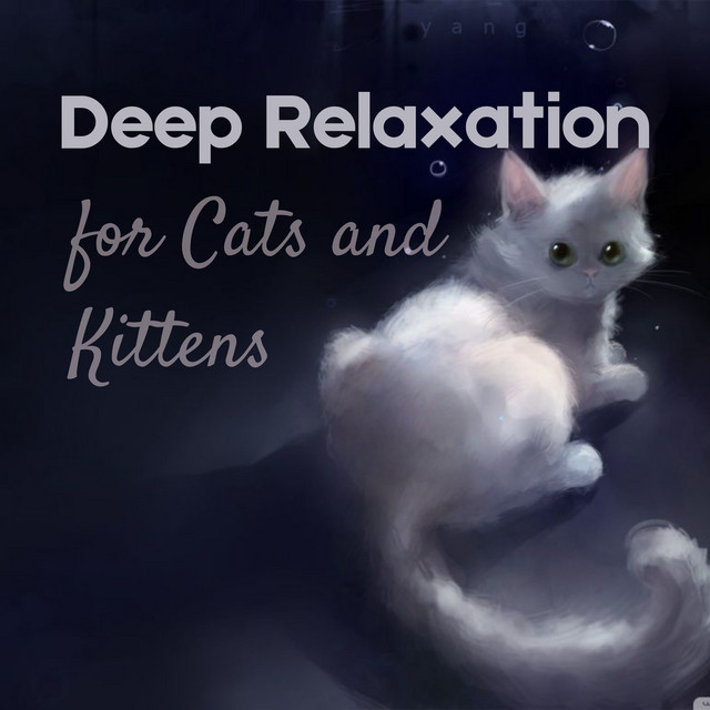 Deep Relaxation Jazz for Cats and Kittens - Album by Lazy Jazz Cat ...