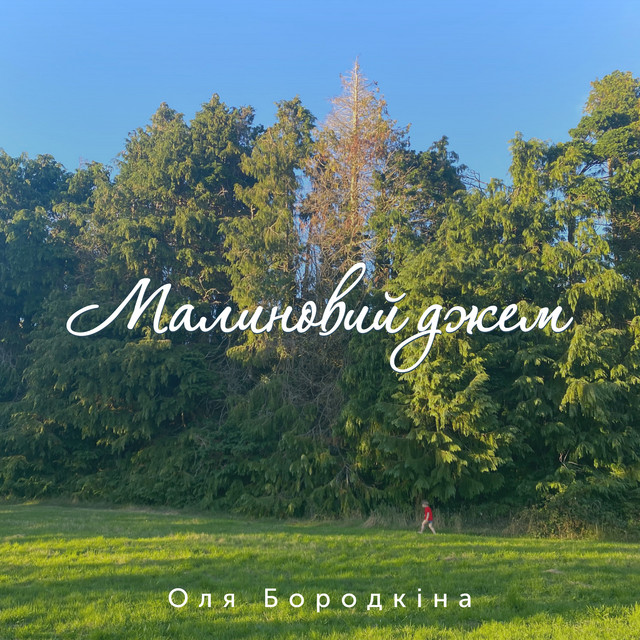 Обкладинка: Малиновий Джем — Оля Бородкина