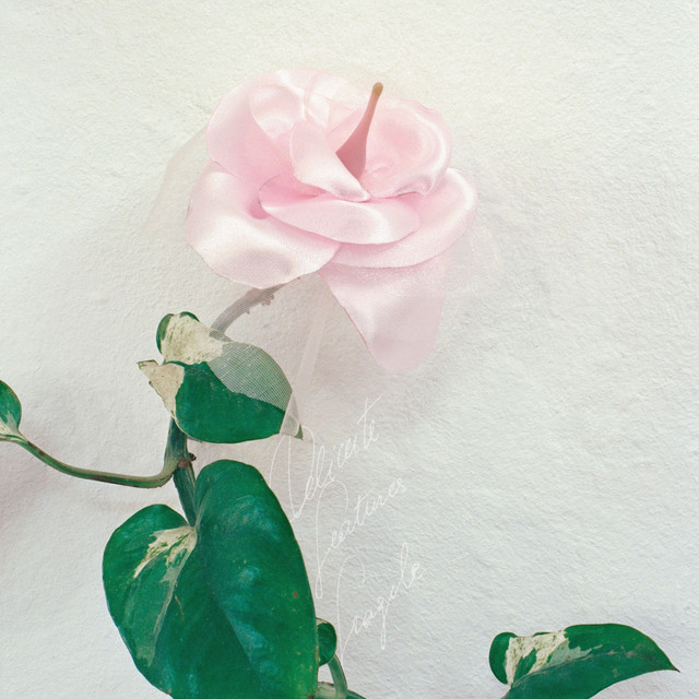 Fragile cover art