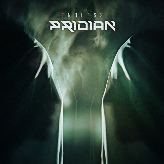 Endless cover art
