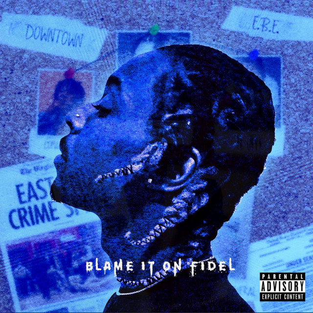 Blame It On Fidel cover art