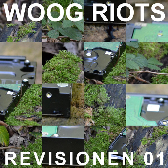 Revisionen, Vol. 1 cover