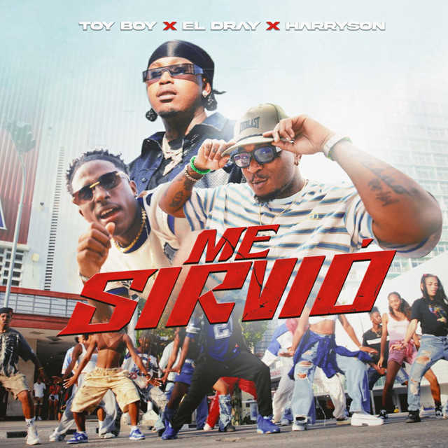 Me Sirvió - Remix