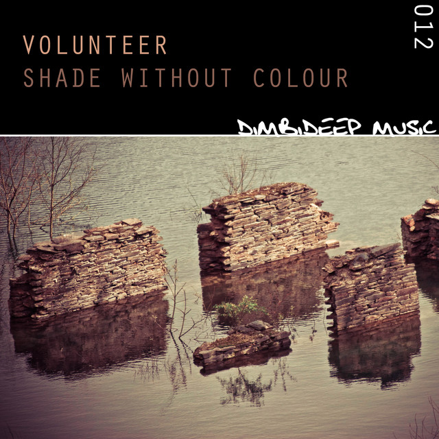 Shade Without Colour cover art