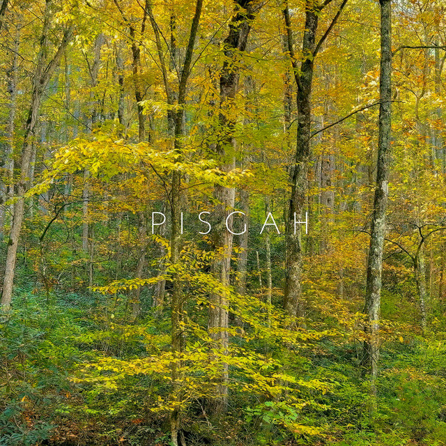 Pisgah