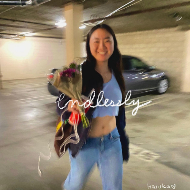 endlessly cover art