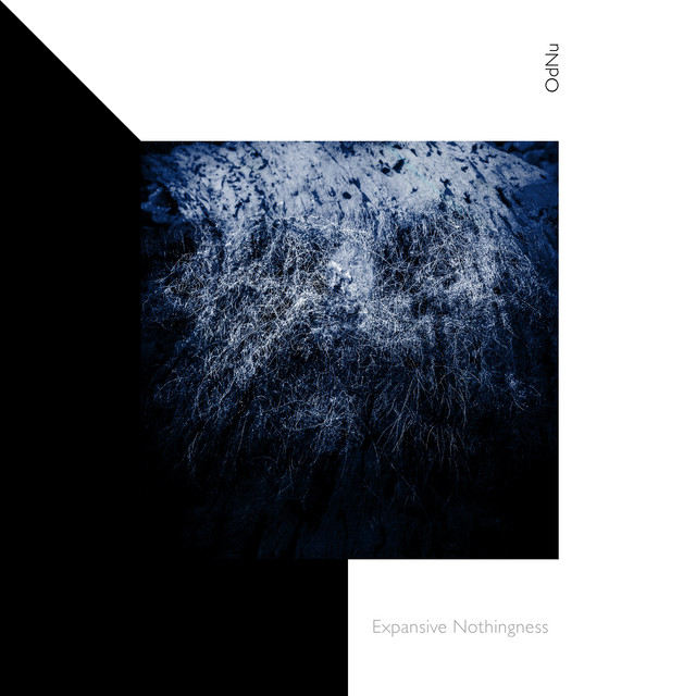 Expansive Nothingness cover art