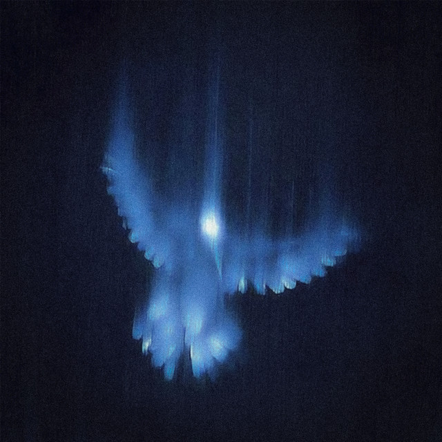 FALLEN ANGEL. cover art
