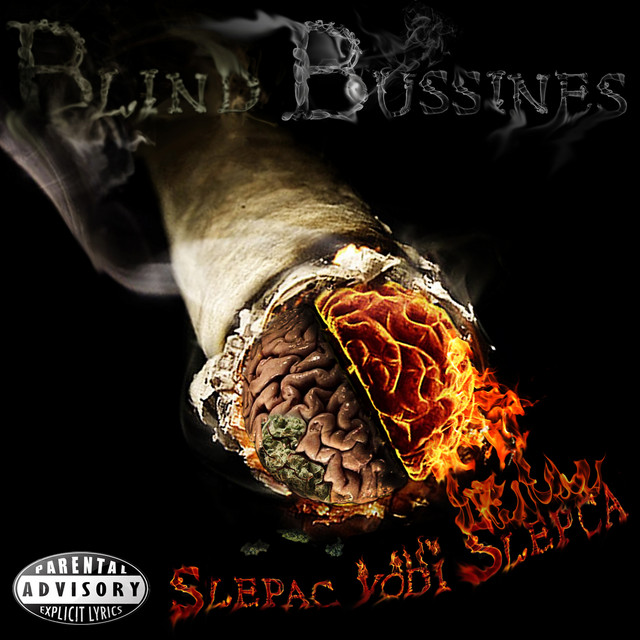 Slepac Vodi Slepca cover art