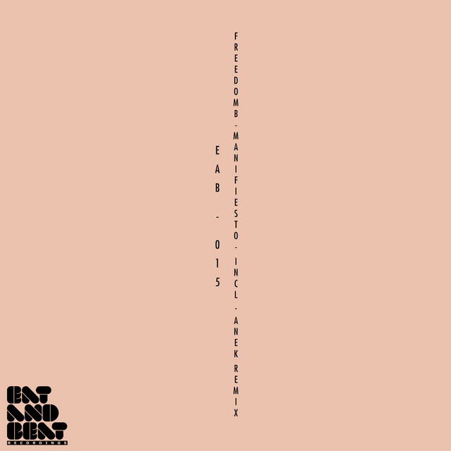 Nothing Else - Anek Remix cover art