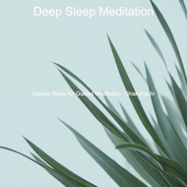 Classic Music for Guided Meditation - Shakuhachi - Album by Deep Sleep ...