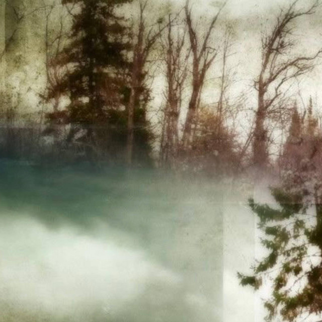 Devoted cover art