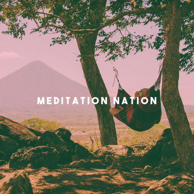 Meditation Nation cover art
