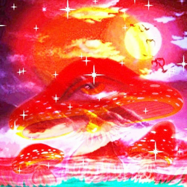 shroom tunez cover art