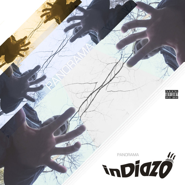 Panorama cover art