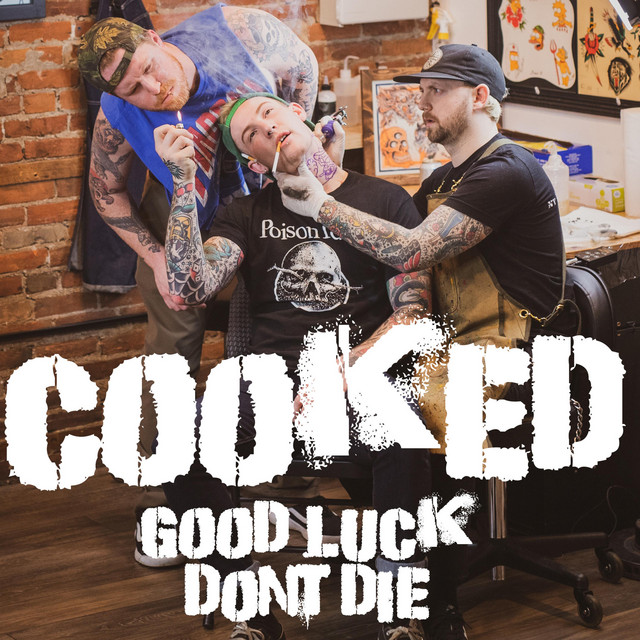 GOOD LUCK DONT DIE cover art