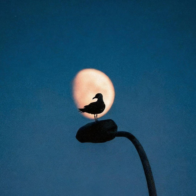 音乐的平行时空 cover art