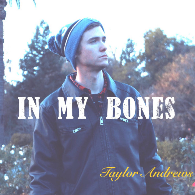 In My Bones cover