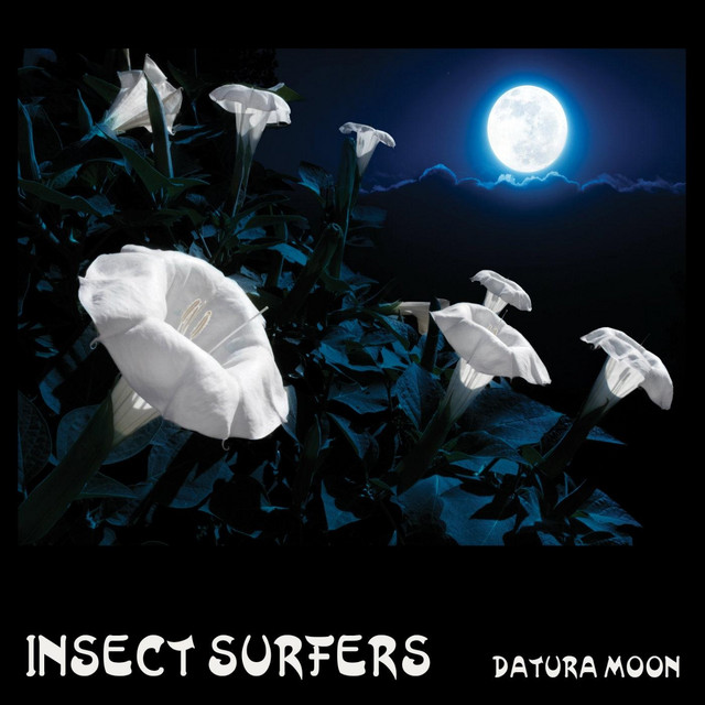 Datura Moon cover art