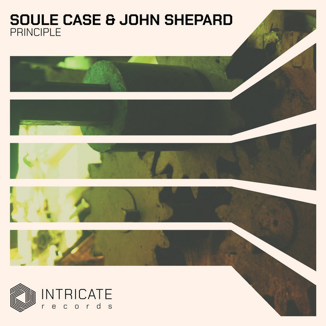 Principle - Extended Mix album art