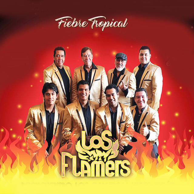 Fiebre Tropical - Single by Los Flamers | Spotify