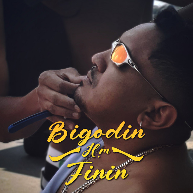 Bigodin Finin