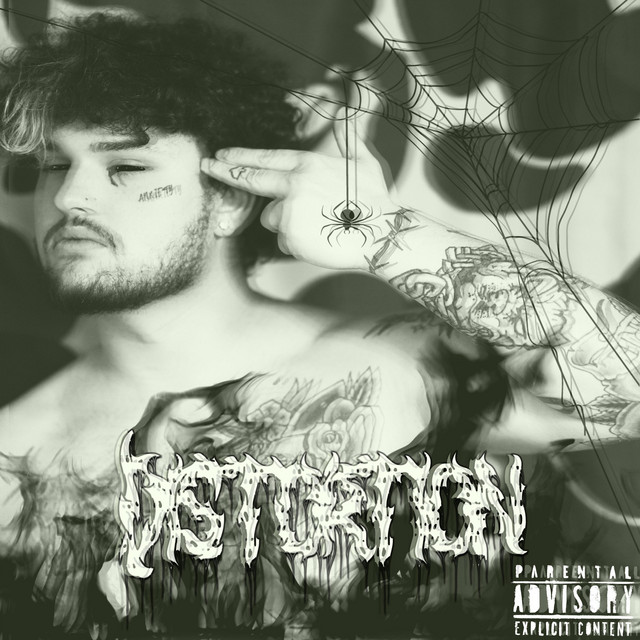 Distortion cover art