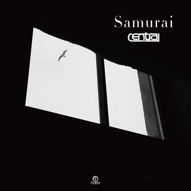Samurai cover art