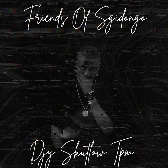 Friends of Sgidongo cover art