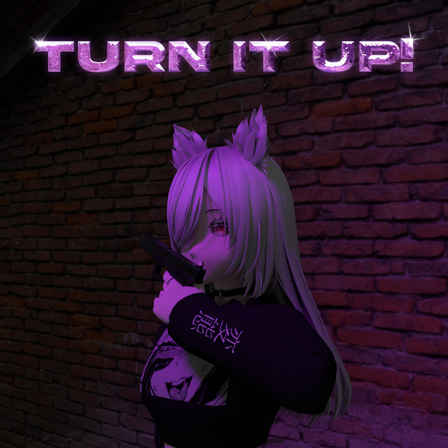 Обкладинка: Turn it up! — Pxsxr